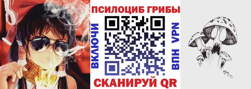 Псилоцибиновые грибы GOLDEN TEACHER Ивангород